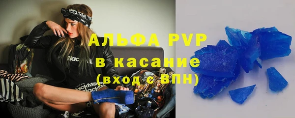 молекула духа Гатчина