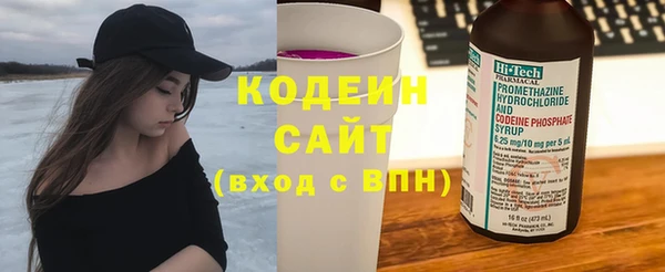 индика Покров