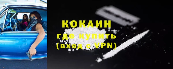 гашик Покровск