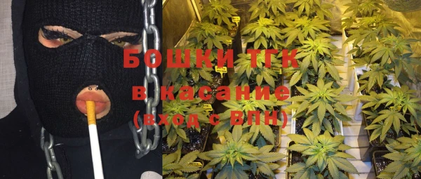 индика Покров
