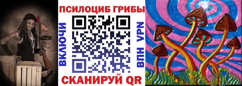 где продают наркотики  Шелехов  Псилоцибиновые грибы GOLDEN TEACHER 